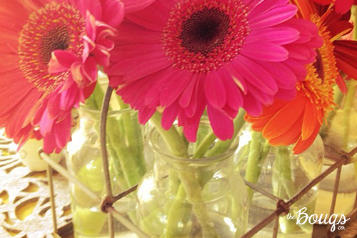 Gerbera Daisies in Clear Vases | Bouqs Blog