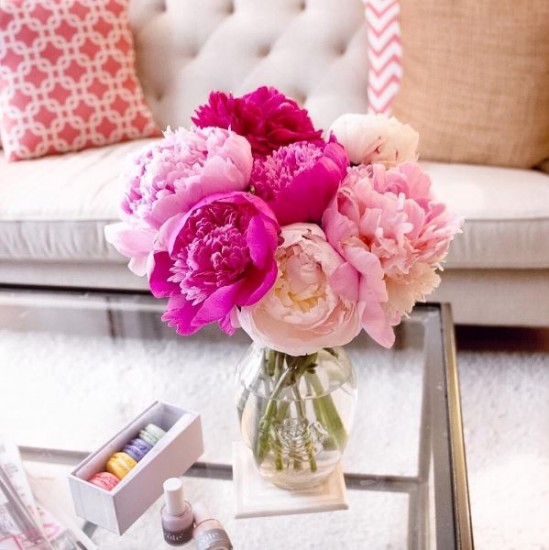 Shades of Pink Peonies Shades of Pink Peonies