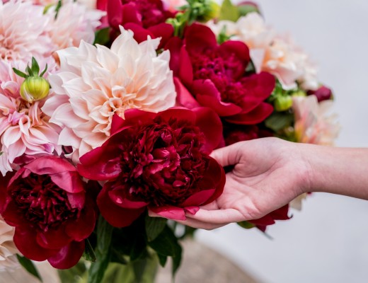 Delicate Fragrant Peonies