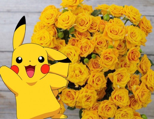 Pikachu Yellow Roses