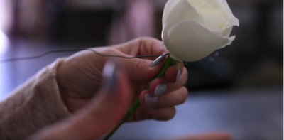 Floral Wire on White Rose