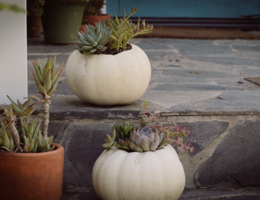 DIY Pumpkin Planter