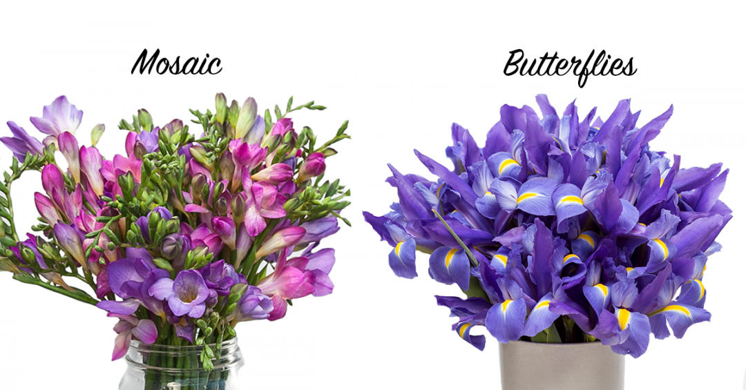 Alzheimer's Awareness in Bloom Bouqs Blog