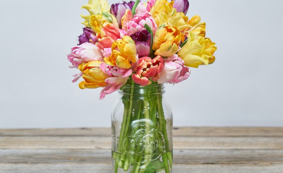 What Are Flower Preservatives? Bouqs Blog