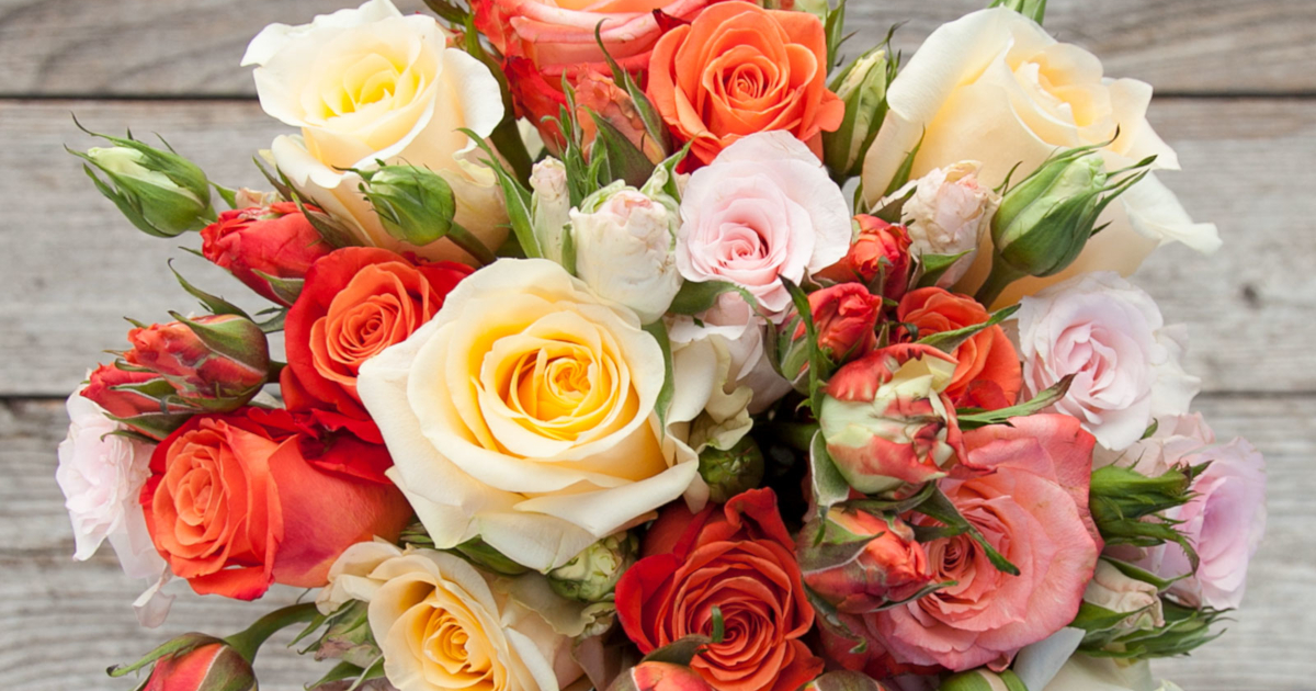 17 Rose Color Meanings to Help You Choose the Perfect Bouquet