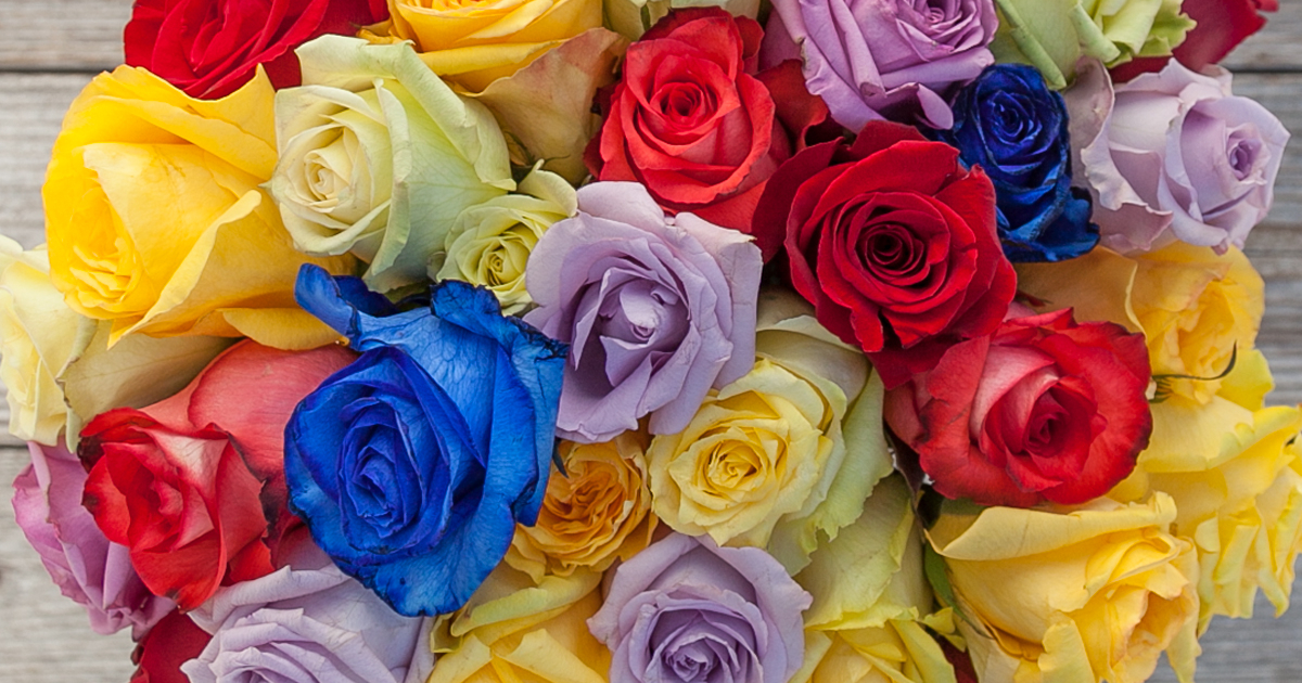 What Do The Colors Of Roses Mean Bouqs Blog 3714