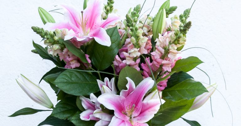 are-fresh-flowers-allowed-in-hospitals-bouqs-blog