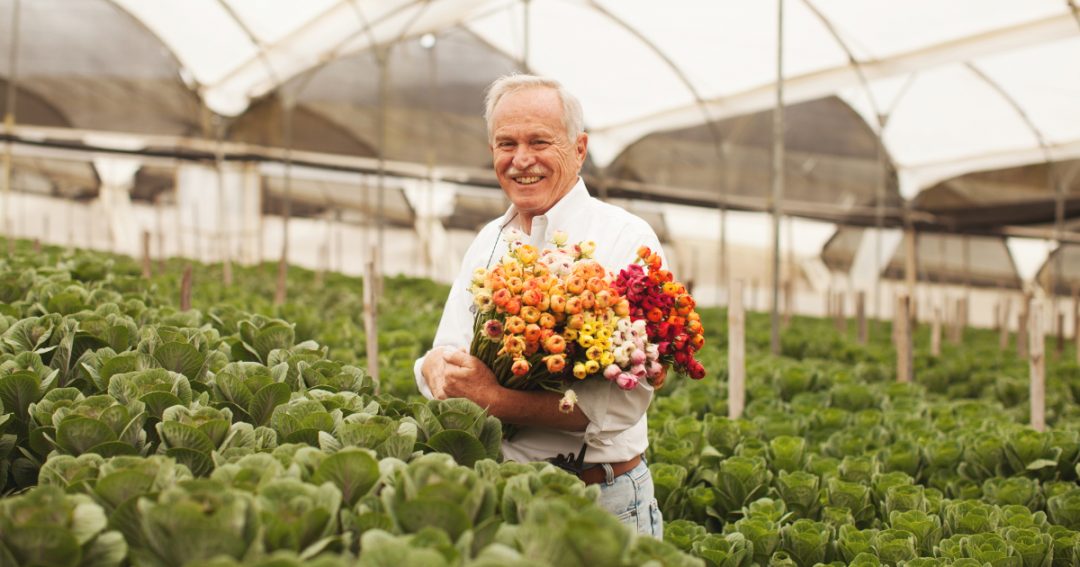 Artisan Florists In New York