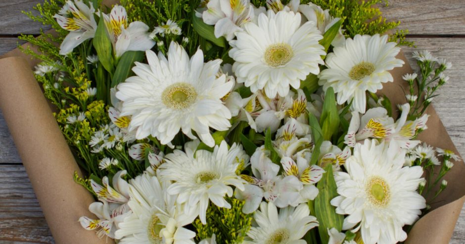 6 Common Types of Daisies for Your Garden | Bouqs Blog
