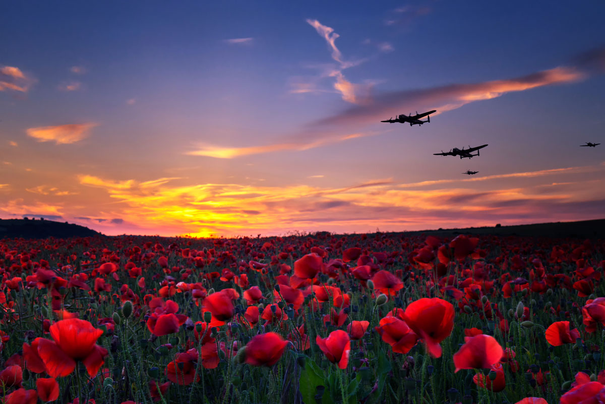 Poppy Monument