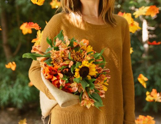 Fall Holiday Occasions