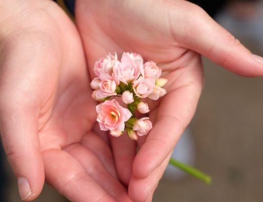 Flower Giving Etiquette