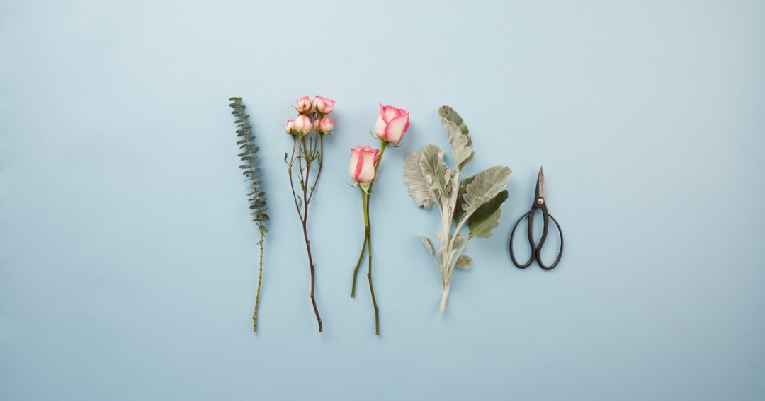 Five Thoughtful Corsage Colors for Your Date Bouqs Blog