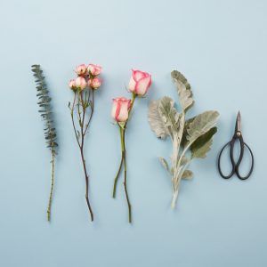 Corsage colors 300x300