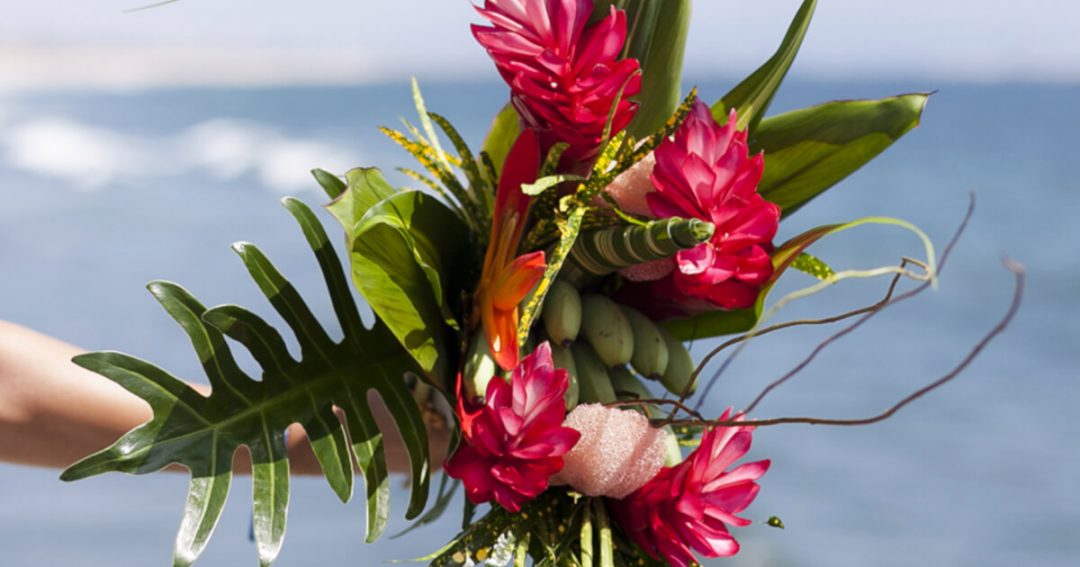 Tropical Flowers All Occasions