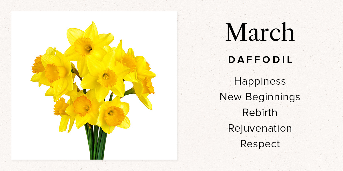 Your Birth Month Flower and What It Means Bouqs Blog