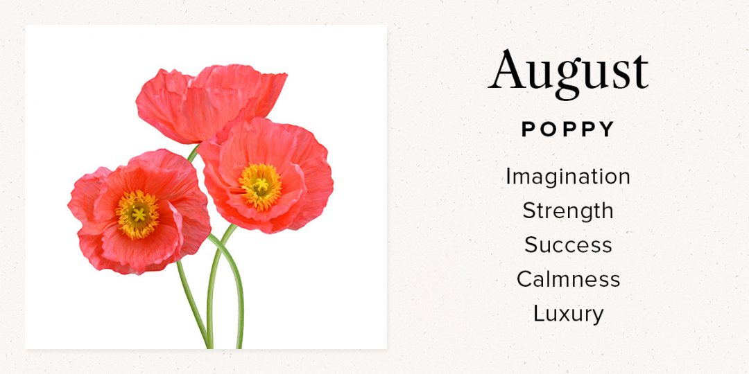 Your birth month flower and what it means bouqs blog