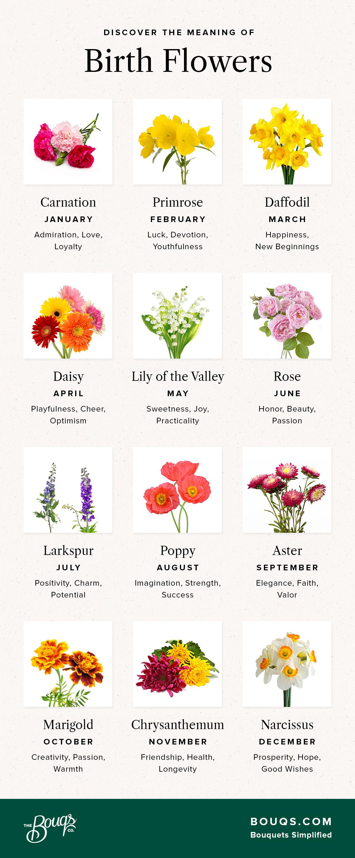 What Is My Birth Flower? - Birth Month Flower Meanings