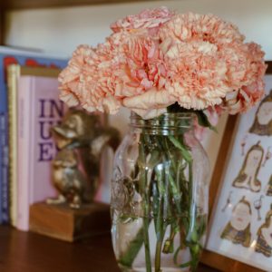About carnation flowers 300x300
