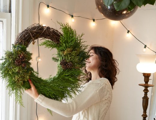Winter Wreath Plants