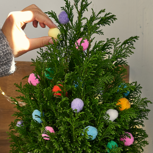 Chistmas tree pom poms 300x300