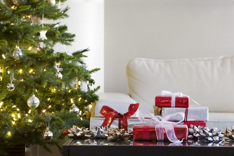 Live Christmas Tree Care Tips Bouqs Blog