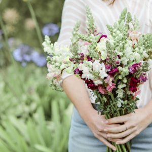 Best spring flowers 300x300