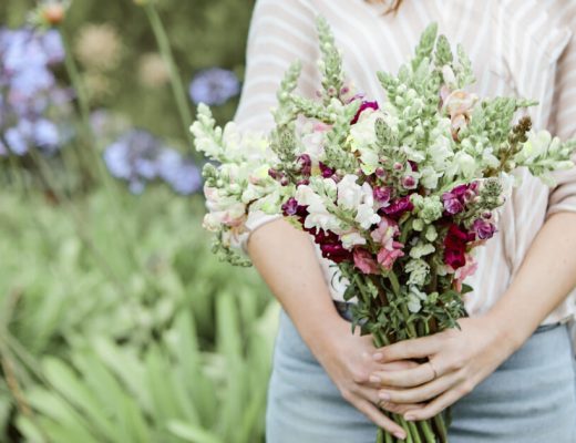 Best Spring Flowers