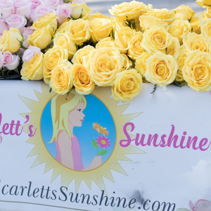 Scarletts sunshine feature 300x300