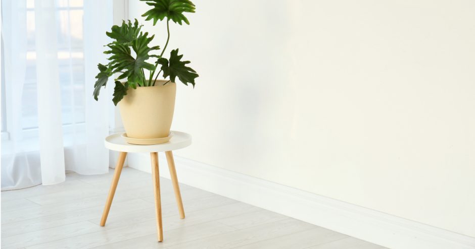 Tropical Houseplant Stool Decor