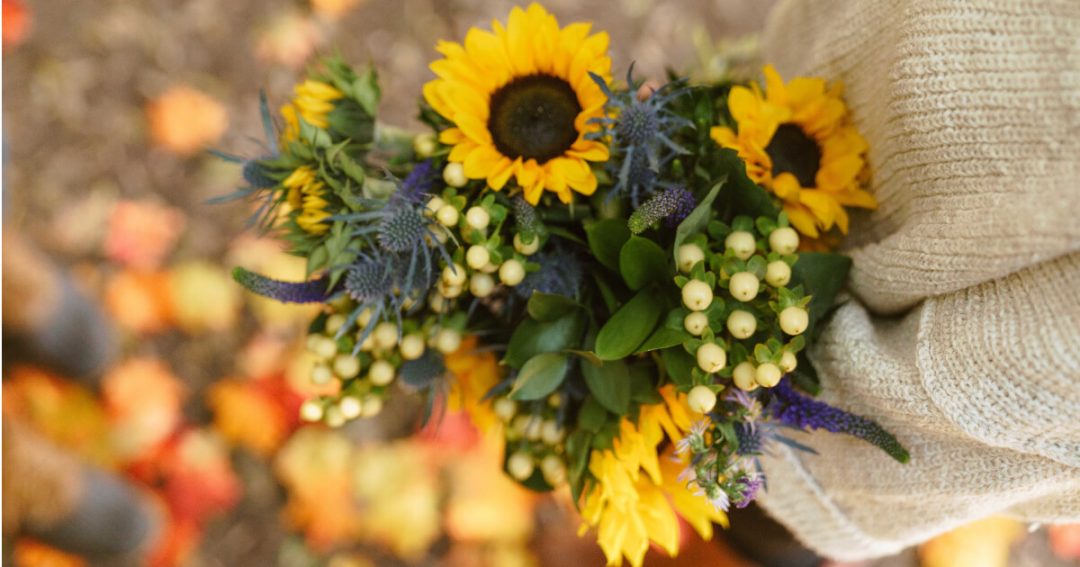 Fall Yellow Flowers