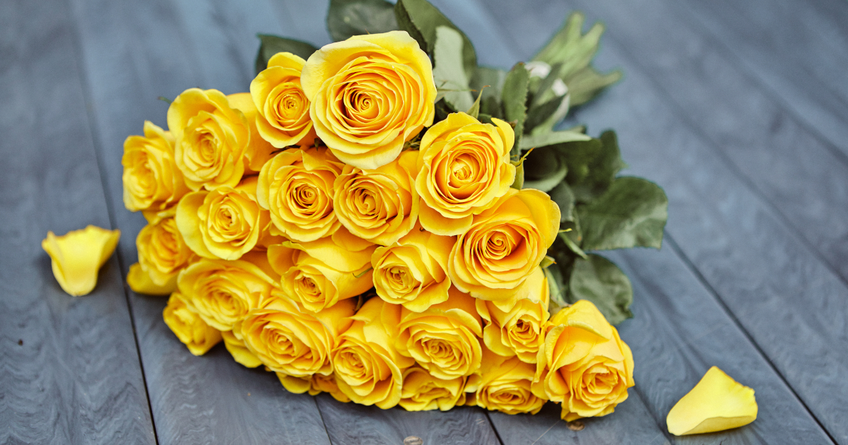 Yellow Rose Meaning What Do Yellow Roses Mean Bouqs Blog