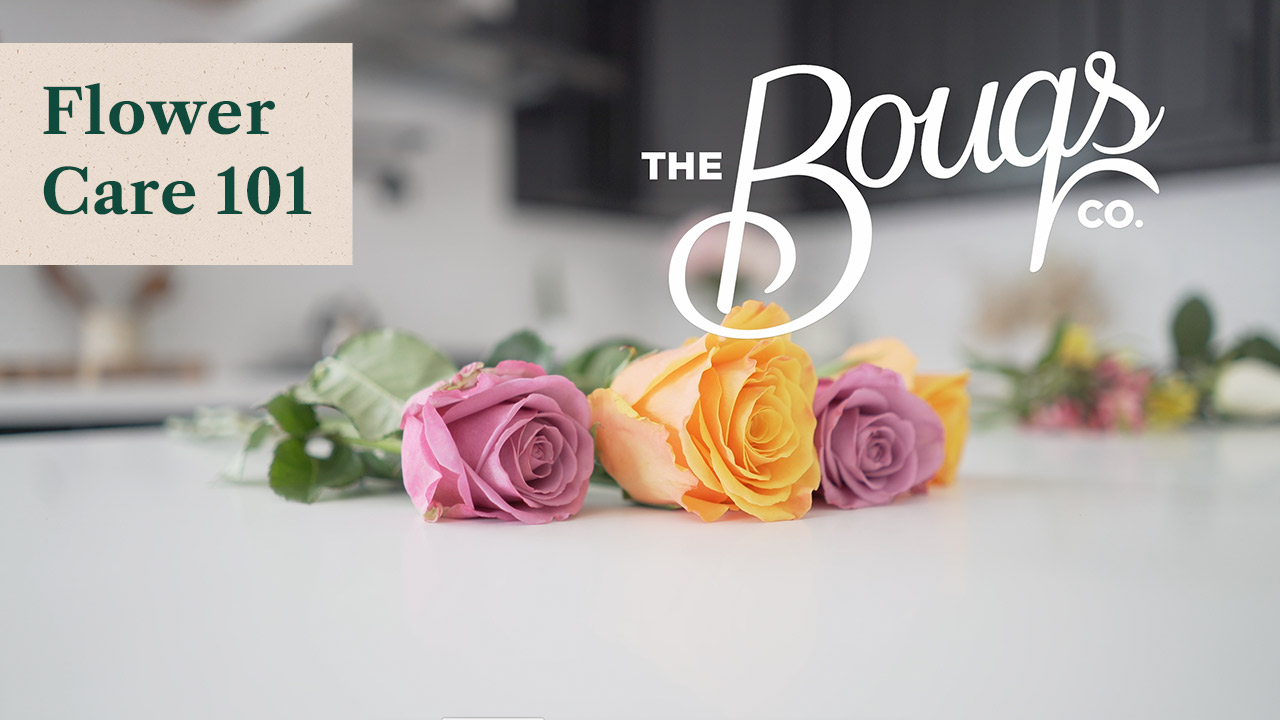 Fresh Cut Flower Care Tips Bouqs Blog