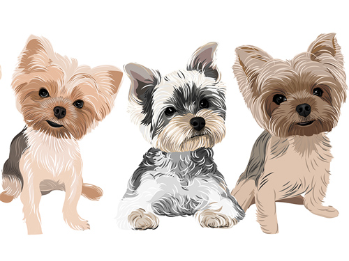 Custom puppy portraits.