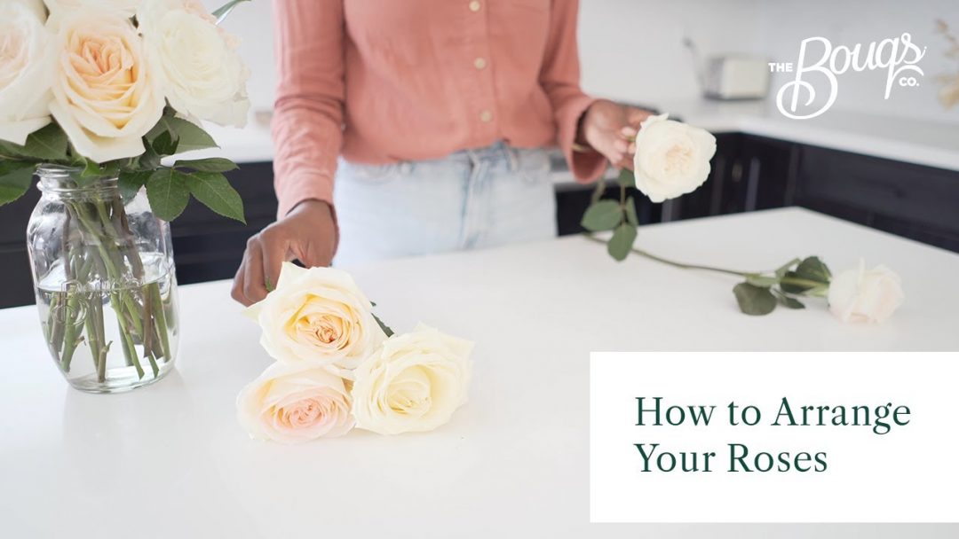 Kaylyn Hewitt arranging white roses for a video on arranging roses