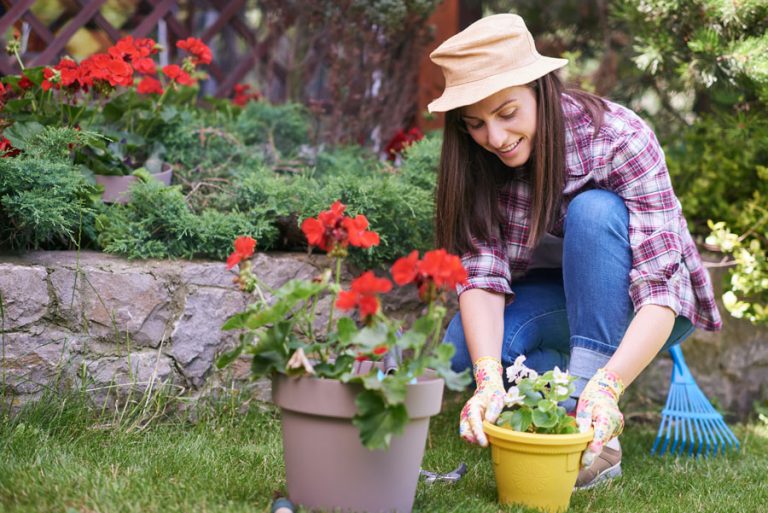 How to Take Care of Begonias (Indoor & Outdoor) Bouqs Blog