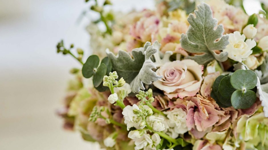 close up of pink roses and eucalyptus