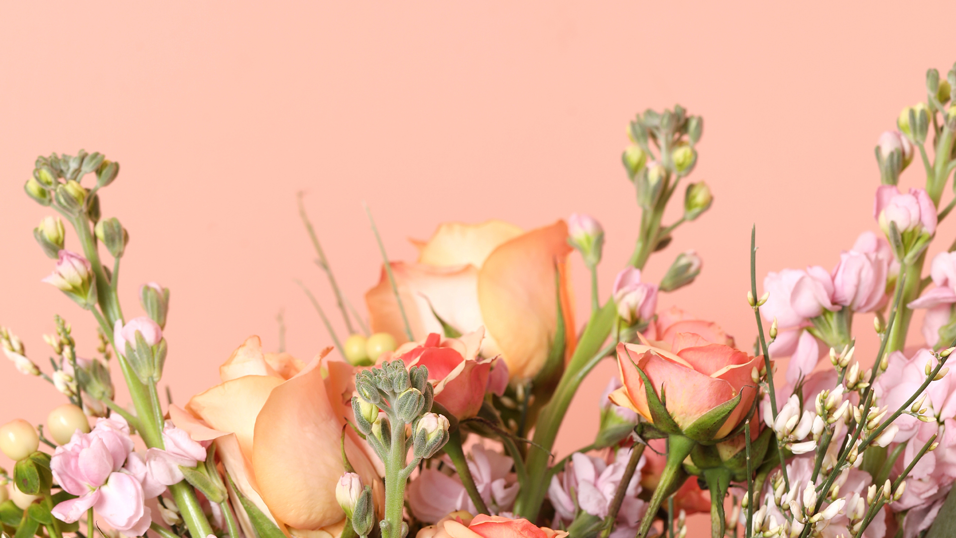 Flowers Backgrounds for Zoom and Screensavers | Bouqs Blog