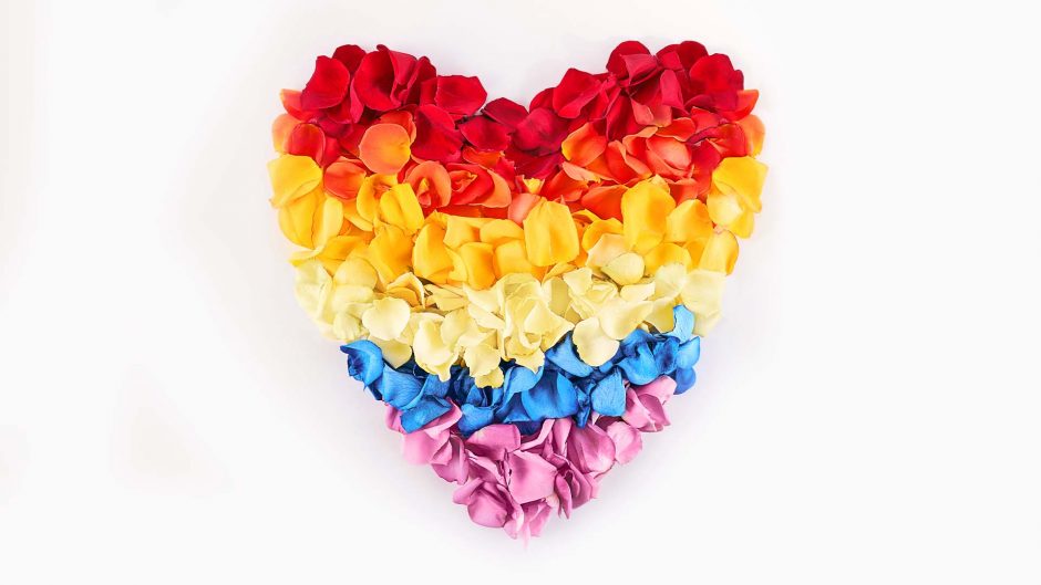 red, yellow, white, blue and purple flower heart