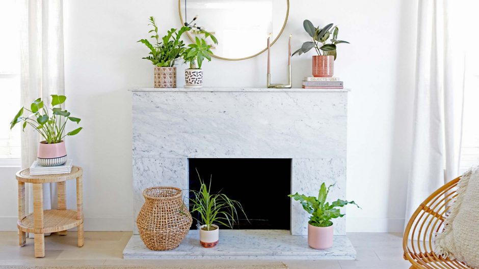 6 potted plants set around a fireplace