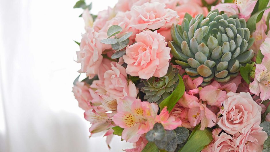 close up of pink flowers and a succulent