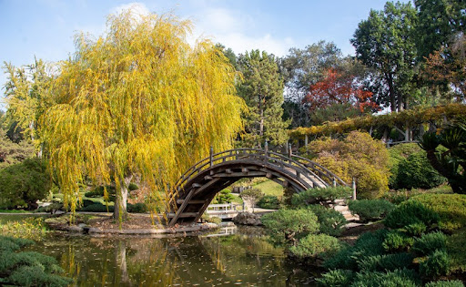 Chinese flower garden at The Huntington