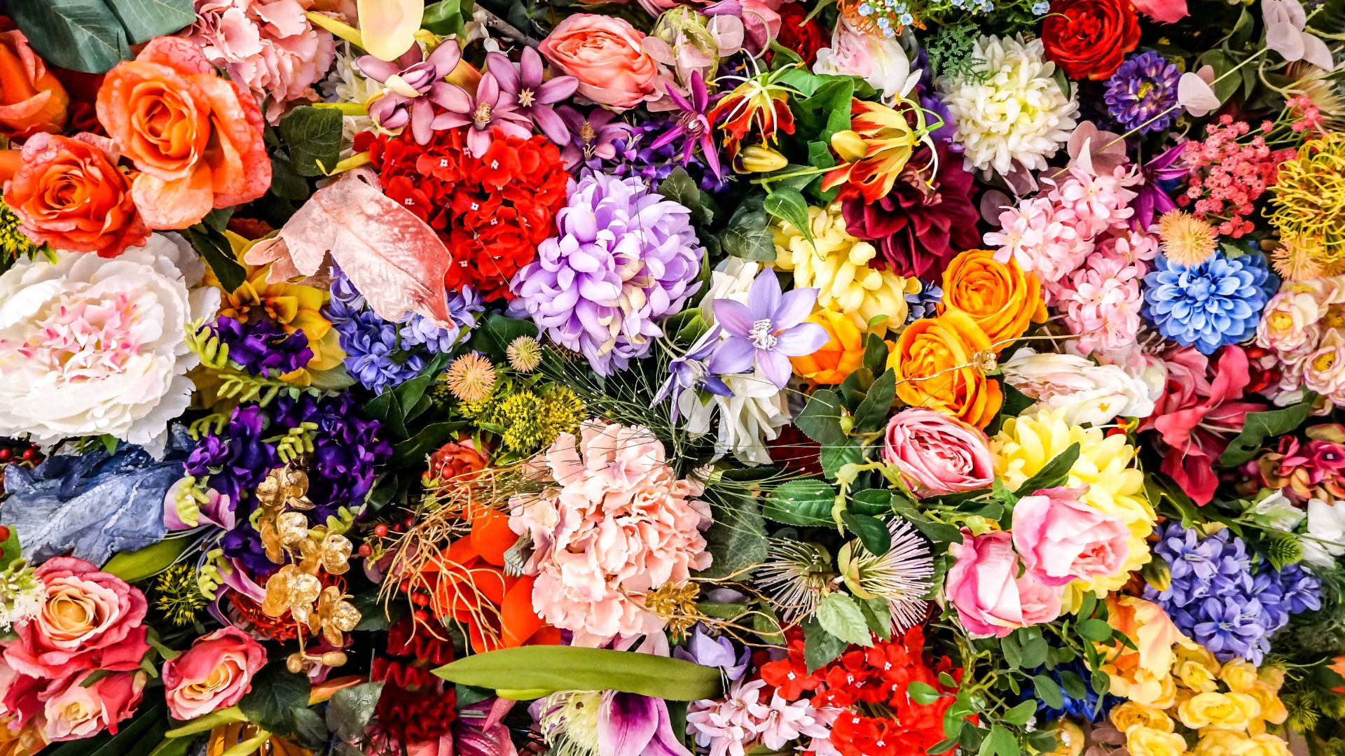 Types Of Flowers With Names And Meanings Types Of Flowers With Names And Meanings
