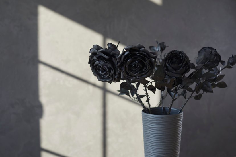 Black Roses Meaning & Symbolism Bouqs Blog