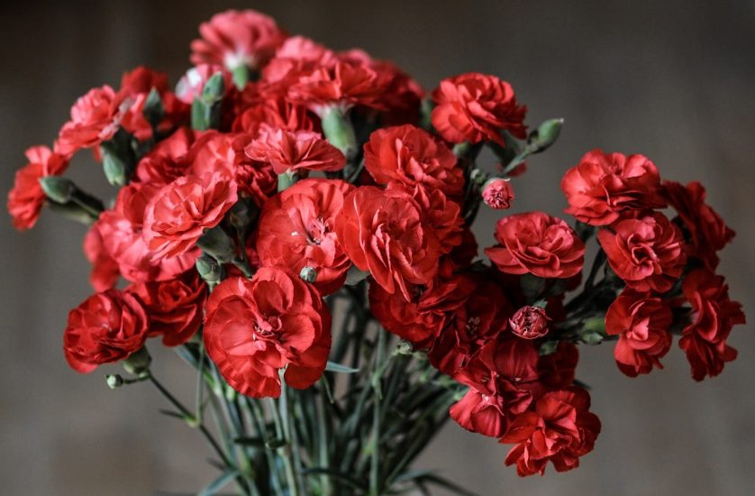 Bouquet of red carnations