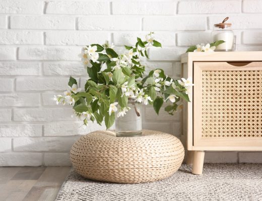 Jasmine plant in a pot indoors.