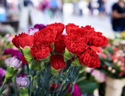 An arrangement of bright red carnations.