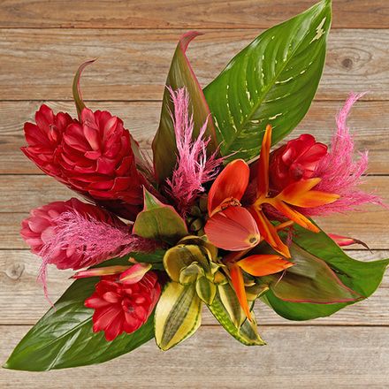 Tropical Flowers Exotic Flowers The Bouqs Co