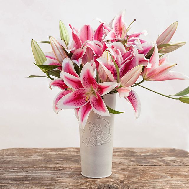 Stargazer Lily Flower Arrangement The Bouqs Co