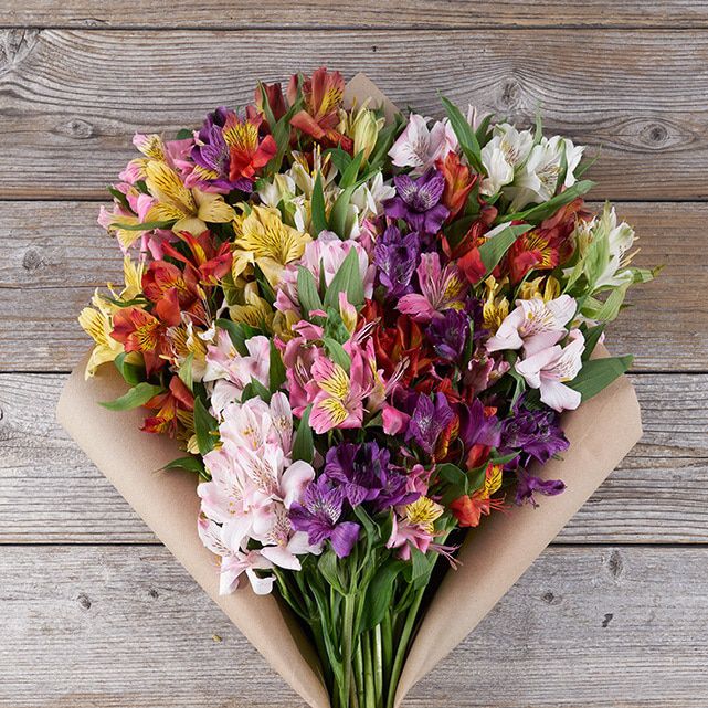 Rainbow Peruvian Lily Floral Arrangement The Bouqs Co.